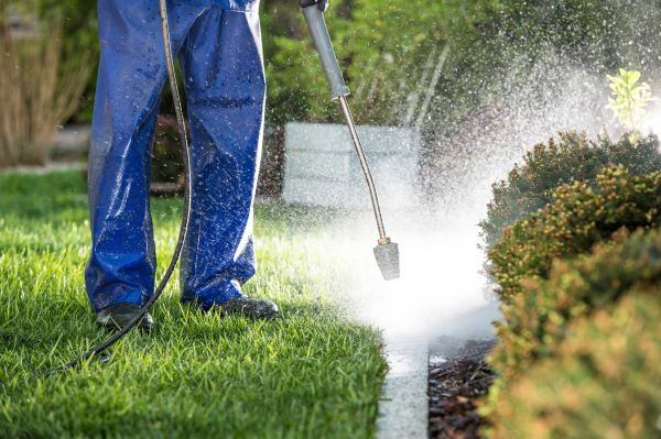 Curb Cleaning in Bryan