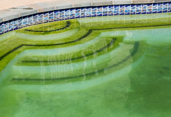 Pool Deck Algae Removal in Bryan
