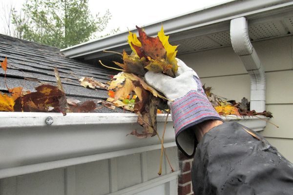Cost of Eaves Cleaning in Bryan