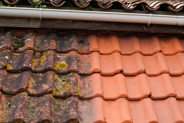 Industrial Roof Cleaning in Bryan