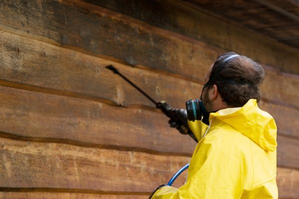 Cedar Siding Washing in Bryan